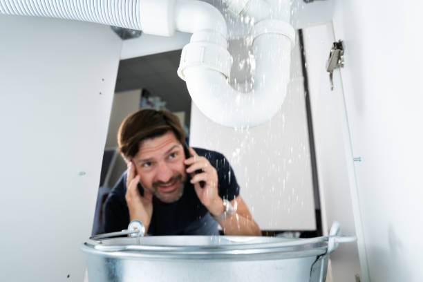 Best Clogged Drain Plumber  in Hammond, IN