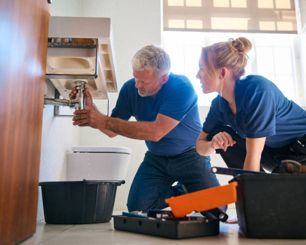 Best Commercial Plumbing Services  in Hammond, IN